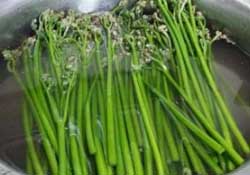 蕨菜怎么洗？蕨菜怎么清洗才干凈？
