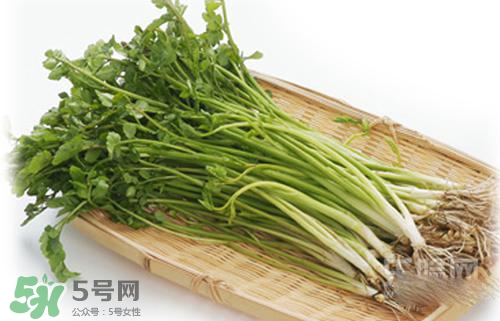 吃野芹菜會中毒嗎？吃野芹菜中毒了怎么辦？