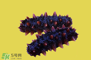 春天能吃海參嗎？春天吃海參效果好嗎？