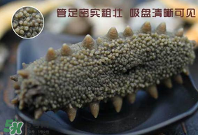 春天能吃海參嗎？春天吃海參效果好嗎？