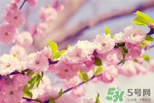 春天容易得水痘嗎？春天是水痘的高發(fā)季節(jié)嗎？