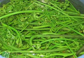 蕨菜怎么洗？蕨菜怎么清洗才干凈？