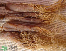 春天能吃紅參嗎？春天可以吃紅參嗎？