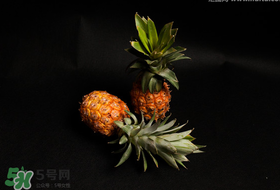 春天可以吃菠蘿嗎？春天吃菠蘿有什么好處？