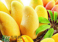 什么人不能吃芒果？哪些人不能吃芒果？