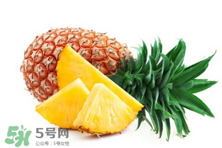 3月份有菠蘿吃嗎？三月份菠蘿可以吃嗎？