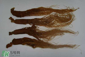 紅參可以天天吃嗎？紅參的功效與作用