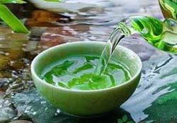 清明茶什么時(shí)候采？采清明茶什么時(shí)候結(jié)束？