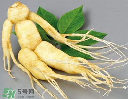 春天能吃高麗參嗎？春天可以喝高麗參湯嗎？