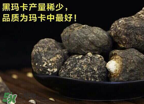 春天能吃瑪卡嗎？女人春天能吃瑪卡嗎？