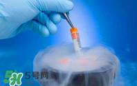 凍卵是什么？凍卵子需要多少錢？