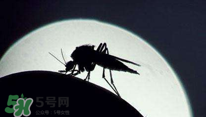 蚊蟲叮咬會(huì)傳播艾滋病嗎？蚊蟲會(huì)傳染乙肝嗎？