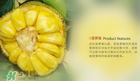 菠蘿蜜和榴蓮的區(qū)別 菠蘿蜜和榴蓮哪個(gè)好吃？