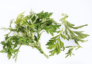 艾草可以治痛經(jīng)嗎？艾草能治月經(jīng)不調(diào)嗎？