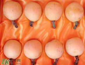 糖尿病能吃枇杷嗎？糖尿病人能吃枇杷嗎？