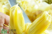 菠蘿蜜怎么吃？菠蘿蜜好吃嗎？