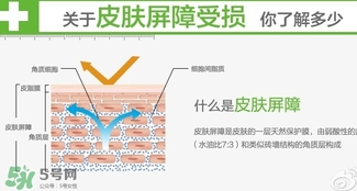 玉澤和至本哪個好？玉澤和至本區(qū)別對比