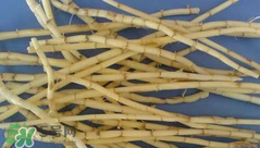 茅根的功效與作用 茅根有什么作用？