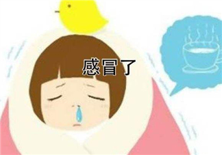 為什么總是感冒？總是感冒怎么回事？
