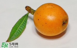 枇杷可以和蔥一起煮嗎？蔥和枇杷葉一起煮可以喝嗎？