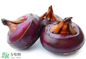 枇杷可以和荸薺一起煮水嗎？枇杷和荸薺能一起吃嗎？