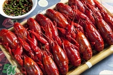 感冒可以吃小龍蝦嗎？感冒頭痛能吃小龍蝦嗎？