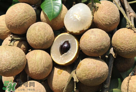 枇杷和龍眼能一起吃嗎？枇杷和桂圓能一起吃嗎？