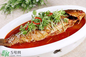 枇杷和魚能一起吃嗎？吃完魚可以吃枇杷嗎？