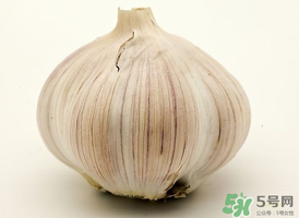 薺菜和大蒜能一起吃嗎？薺菜和蒜頭能一起吃嗎？