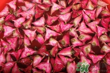 3月份的菱角可以吃嗎？菱角什么時候吃最好？