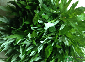 清明草是艾草嗎？清明菜是什么草？