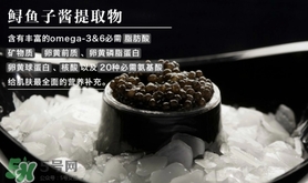 至本是什么牌子？至本什么檔次？