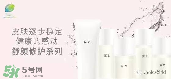 至本是什么牌子？至本什么檔次？