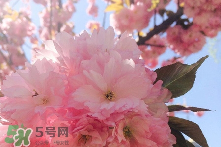 倒春寒吃什么食物？倒春寒吃什么御寒？