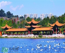 4月份去昆明穿什么？四月份去昆明穿什么衣服？