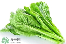 春分要吃春菜嗎？春分為什么要吃春菜？