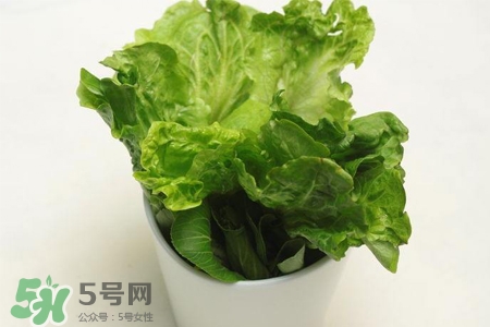 春菜為什么會苦？春菜發(fā)苦能吃嗎？