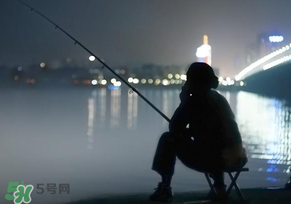 春分能夜釣嗎？春分能釣鯉魚嗎？