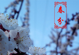 春菜為什么會苦？春菜發(fā)苦能吃嗎？