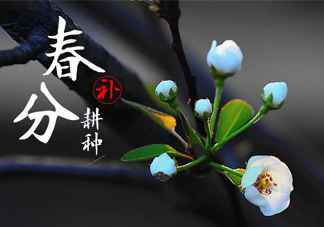 春分吃春菜有什么好處？春菜有什么營(yíng)養(yǎng)價(jià)值？