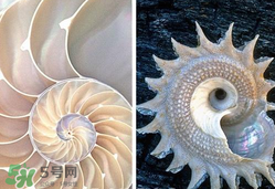 珍珠貝母表盤好嗎？珍珠貝母表盤耐用嗎？
