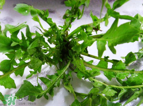 春天吃薺菜好嗎？春天吃薺菜有什么好處？