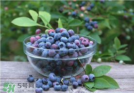 藍(lán)莓一天吃多少為宜？藍(lán)莓每天吃多少合適？