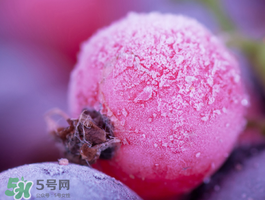 藍莓變紅可以吃嗎？藍莓發(fā)紅是壞掉了嘛？