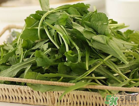薺菜有毒嗎？吃薺菜會(huì)中毒嗎？
