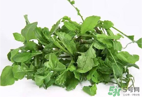 薺菜有毒嗎？吃薺菜會(huì)中毒嗎？