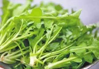 便秘能吃薺菜嗎？便秘可以吃薺菜嗎？