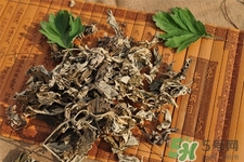 艾草可以泡腳嗎？艾葉泡腳的功效與作用