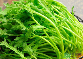 皇帝菜是茼蒿嗎？皇帝菜和茼蒿的區(qū)別