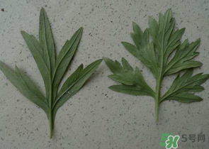 ?蒿子怎么去除苦味？?蒿子粑粑苦是什么原因？